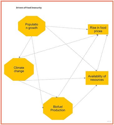 Linking drivers of food insecurity and ecosystem services in Africa